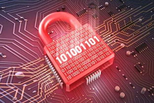 天啦嚕！5億用戶隱私數據泄漏事件敲響警鐘，網絡與信息安全軟件開發何去何從？